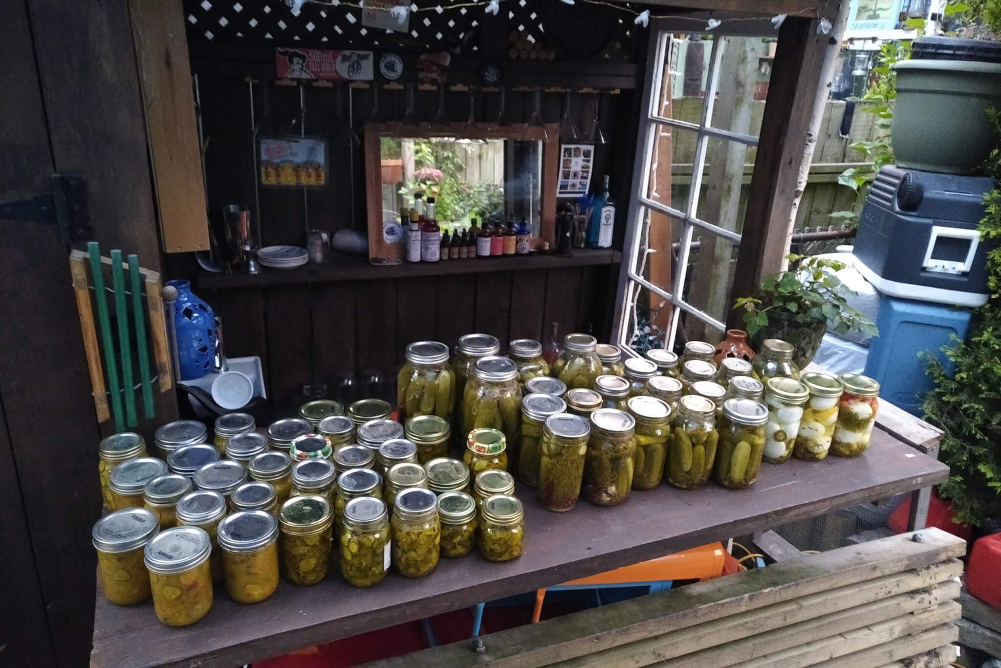 Photo of many jars of pickles